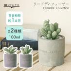 アロマ ディフューザー リードディフューザー mercyu 100ml MRU-73 フレグランス ルームフレグランス 1ヶ月 石膏 多肉植物 植物 爽やか 甘い おしゃれ かわいい