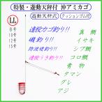 ◆特製・遊動天秤付 沖アミカゴ LL(赤)◆クッションゴム付・遠投カゴ釣り仕掛け・真鯛 イサキ シブ鯛 タマン コロ鯛 ヒラマサ ブリ ハマチ カンパチ グレ アジ