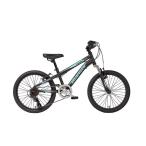 ショッピングビアンキ ビアンキ USモデル 子ども用自転車 20インチ マウンテンバイク CTB MTB 完成品 / 置き配可能 BIANCHI JUNIOR DUEL US 20 YNB5KC28HE ブラック/チェレステ