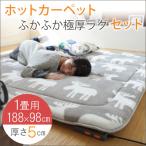 ホットカーペット 1畳 ラグ ホットカーペットカバー 北欧 ラグ ホットカーペット＆カバーセット 長方形 98ｘ188cm ミューク