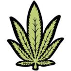 ノル ヘンプエアーフレッシュナー ☆ブルガリプールオムタイプの香り