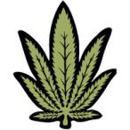 ノル ヘンプエアーフレッシュナー グリーンアップル