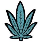 ノル ヘンプエアーフレッシュナー クリアスカッシュ