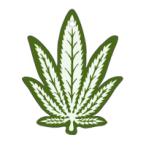 ノル ナイトヘンプエアーフレッシュナー ココナッツ