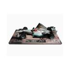 PMA 1/18 Ｍ．シューマッハ メルセデスＧＰ W03 ラストＧＰブラジル仕様 別注品 限定品 2012