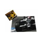 期間限定セールセット 2008 中嶋一貴　直筆サイン入写真＆PMA 1/43 中嶋悟 ロータス・ホンダ 99T 別注品 限定品 1987