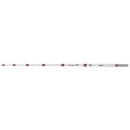  Daiwa (DAIWA) Chris tia корюшка туловище состояние 24.5 размер разнообразные 