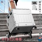  лестница ..... возможен Carry колесо Cruiser складной Cart L легкий тихий звук проект box контейнер кемпинг путешествие 