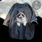  кошка футболка .. рисунок кошка домашнее животное t рубашка кошка рисунок кошка рисунок t рубашка кошка иллюстрации короткий рукав мужской симпатичный t рубашка кошка одежда одежда кошка рисунок одежда интересный симпатичный одежда симпатичный 