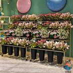  цветок Cart дисплей подставка 4 колесо имеется металлический цветок магазин для букет полки передвижной тип цветок держатель low кольцо план to Cart ведро 16 шт имеется шпаклевка .o двор свадьба цветок магазин для 