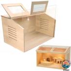  домашнее животное клетка мелкие животные / рептилии для из дерева насекомое садок для разведения ширина 60cm мелкие животные. сырой . земля крепкий вентиляция передняя сторона стекло доска нагревание лампа . керамика лампа основа . переключатель тросик имеется 