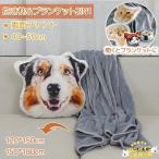  фотография ввод подушка выполненный под заказ подушка домашнее животное оригинал Dakimakura покрывало двусторонний печать фотография inserting memorial двусторонний фотография одеяло колено 