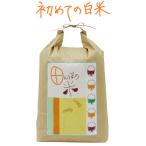 ショッピング米 10kg 送料無料 米　田んぼの米　 白米 10kg　昔懐かしいお米の味