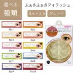 つけまつげ ビューティーネイラー ブラック つけま 自まつげ感 柔らかタイプ まつエク感 ナチュラル 極細 【▲】【053・114EN】/ふぁさふぁさアイラッシュ