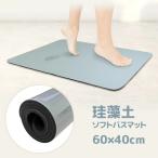 珪藻土 バスマット ソフトバスマット 1個 60×40cm グレー 吸収 速乾 浴室 風呂場 脱衣所 【IFD】【☆60】/珪藻土ソフトバスマット単品