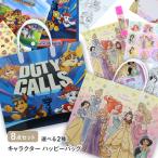 福袋 キャラクター パウパトロール ディズニー プリンセス ハッピーバッグ 選べる 2種 中身が分かる 文具 ステーショナリー 子ども 【FDC】/ハッピーバッグ