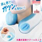 ネッククーラー クールネック 氷のう 氷嚢 首元 冷感 熱中症対策 猛暑 現場作業 スポーツ 畑仕事 【YP】【☆60】【IFD】/氷嚢式首掛けクールネック1個