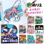 水塗り絵 水ぬりえ 専用ペン 水 3歳から 塗りえ 塗り絵 繰り返し遊べる 安心 簡単 お絵かき 知育 知育玩具 学習 親子 集中力 シルバーバック 【▲】/水ぬりえ