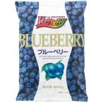 ブルーベリー 冷凍 VeryBerry ブルーベリー 500g 冷凍食品 ノースイ そのまま ヨーグルト 混ぜても 冷凍 ブルーベリー