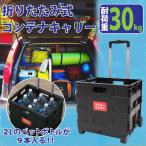  передвижная корзинка складной передвижная корзинка container Carry уличный легкий выдерживаемая нагрузка 30kg модный багаж .. тележка багаж транспортировка 