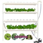  гидропонная культура комплект .... культивирование комплект клубника овощи культивирование комплект салон огород гидропонная культура комплект посадочная машина 36 дыра (36 дыра )