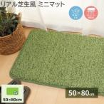 芝生風 玄関マット 50x80cm キッチン 洗面 バス マット ラグ 滑り止め付 手洗いOK リビング ホットカーペット 床暖房 対応 お家 芝生 アウトドア 敷物 送料無料