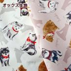 オックス 生地 柴犬 赤 バンダナ ハチ hachi 犬 わんこ しば犬 かわいい 人気 日本製 ワンコ kooikerhondje 手作り レッスンバッグ生地