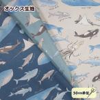 オックス 生地 海の生き物柄 入園 入学 レッスンバック クジラ シャチ エイ サメ くじら 海 綿100% 手芸 かわいい 動物 アニマル