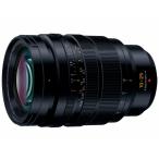 PanasonicLEICADGV...