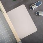 珪藻土マット バスマット 風呂マット 足拭きマット 珪藻土バスマット 消臭 防ダニ 防カビ 抗菌 吸水 乾燥　