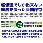 レマコム 冷凍ストッカー -60℃ 超低温タイプ 300リットル RRS-300MR
