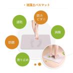 EASEHOLD 珪藻土バスマット 速乾風呂マット 足ふきマット 珪藻土マット 浴室用バスマット 天然材質 消臭 抗菌 防ダニ カビ防止 洗
