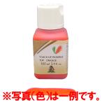 タッチアップピグメント　100ml　【在庫限り】