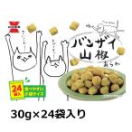岩塚製菓 バンザイ山椒 30g 24袋入り 小粒 あられ コストコ