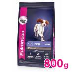 ユーカヌバ パピー ラム&amp;ライス 12ヶ月まで 子犬用・全犬種用 800g（11100125）※お一人様5個まで[犬 ドッグ ドライフード]