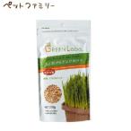 エイムクリエイツ GREEN Labo 犬と猫が好きな草のタネ 200ｇ(17500008)