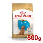 ロイヤルカナン BHN プードル 子犬用 800g (52902117) ※お一人様5個まで [犬 ドッグ ドライフード]