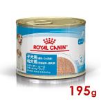 ロイヤルカナン SHN-WET スタータームース マザー＆ベビードッグ 195g (52904000) ※お一人様5個まで [犬 ドッグ ウェットフード]