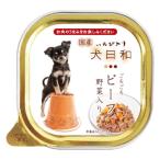 わんわん 犬日和 トレ