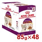  Royal kana nFHN-WET сенсор Lee вкус тест . суетиться для взрослой кошки 85g×48 (s5290097) *. один человек sama 1 шт до [ кошка кошка мокрый капот ]