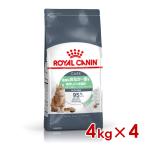 ロイヤルカナン FCN ダイジェスティブ ケア 成猫用 4kg　×　4 [猫 キャット ドライフード] ※お一人様1個まで (s5290100)