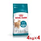 ロイヤルカナン FHN エイジングステアライズド11+ 高齢猫用 4kg×4個 (s5290181) ※お一人様1個まで [猫 キャット ドライフード]