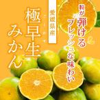 みかん 極早生 訳あり【20組様限定！早割10%割クーポン！】 【残20個】 送料無料 5kg 10g 小玉 小玉みかん 温州みかん 甘い 酸味 爽やか ギフト