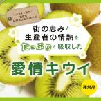 キウイ 通常品 12kg 送料無料 フルー