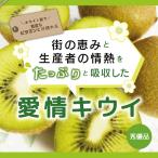 キウイ 秀優品 12kg 送料無料 フルー