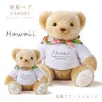  масса Bear kyame Lee Hawaiian (1 body ) подошва свободный сообщение новый . свадьба обе родители подарок вес Bear младенец масса мягкая игрушка имя название inserting 