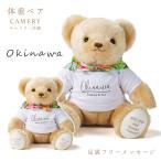  масса Bear kyame Lee Okinawa (1 body ) подошва свободный сообщение новый . свадьба обе родители подарок вес Bear младенец масса мягкая игрушка подошва сообщение имя название inserting 