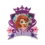 нашивка .... Princess sophia my406 нашивка выше like утюг склейка название . для yp