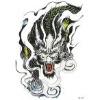  тату-наклейка дракон Dragon hb875 средний *A5
