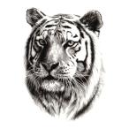  тату-наклейка . Tiger th085[ средний *A5]
